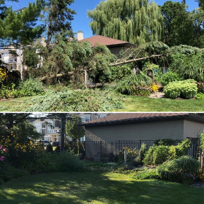 emergency tree removal in Montgomery IL